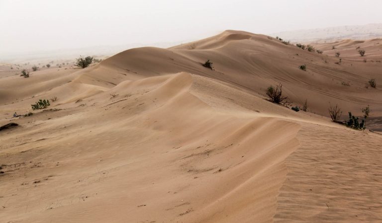 El Gul – Demonio del desierto